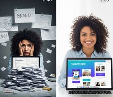 Professional brand identity kit example - logo, colors, fonts - Shapphire Sync
