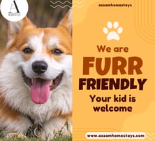 Pet friendly homestays , guesthouse , hotels in Guwahati