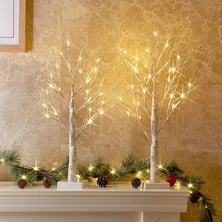 PEIDUO Christmas Decorations Indoor, 2 FT Birch Tree with LED Lights