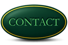 a green contact button for a tampa bay commercial real estate business