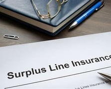Surplus Insurance Business Commercial