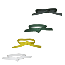 lean-six-sigma-karate-colour-belts