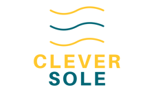 Clever Sole logo