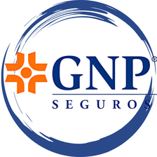 Impulso GNP logo