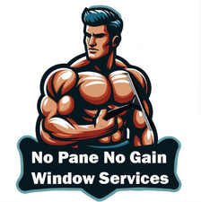 No Pane No Gain Window Services LLC logo