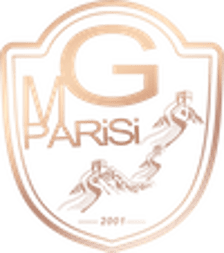 Ai Omaggio al professor Giorgio Parisi logo