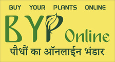 BYPonline logo