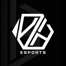 VLHESPORTS logo