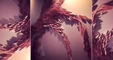 Elizabeth Lotz (Liz Lotz) art director jewelry installation artist paper installation display pink abstract design Zoja