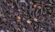 Syzygium aromaticum - clou de girofle