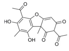 Molécule lichénique – Acide usnique