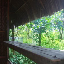 Simple yet airy room facing an open courtyard with rustic wood and nature all around.