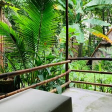 Spacious twin-bed room with large windows overlooking the tropical vegetable garden.