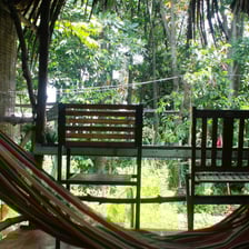 Bright garden-view room with two separate beds and air conditioning, ideal for comfort seekers.