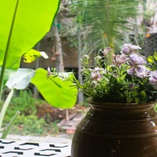 Bright garden-view room with two separate beds and air conditioning, ideal for comfort seekers.