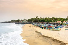 A Beach with boats parked and trees surrounding the beach 