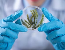 HelixConnect sales agency Life Sciences biologics genomic NGS Bioprocess healthcare, GMP production