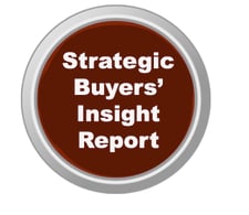 Strategic Buyers Insight Report