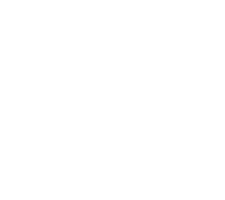 TRACTIVE SUSPENSION