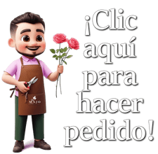 floristería majo