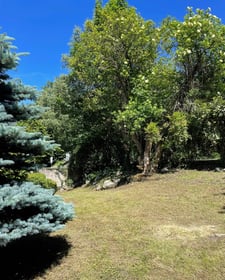 vue du jardin du chalet La Grange Russell
