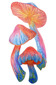 "Abstract Mushrooms" by Sezer Ali