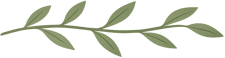 Leaf Border
