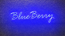 BlueBerry Wellness Spa logo