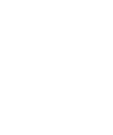 NEXT LEVEL COACHING AND PERSONAL TRAINING logo