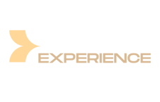 Value Experience logo