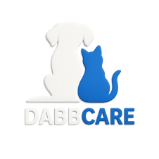 Dabbcare logo