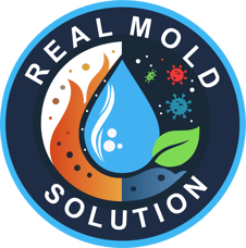 Real Mold Solution logo