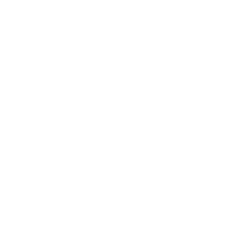 luismircoach logo