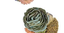Courtney Mattison Turn the Tide Small Coral Banner