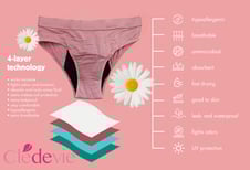 a woman's underwear briefsocks and underwear
