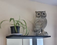 accéder au formulaire d'inscription et estimer le poids du hibou