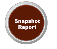 Snapshot Report