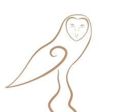 Le Chemin de la Chouette logo chouette effraie