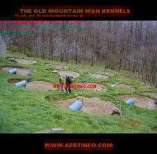 The Old Mountain man Kennel, Lester Hughes APBT Yard Tour
