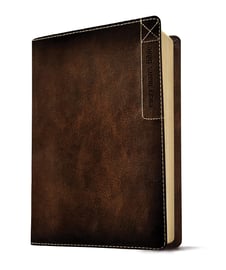 Every Man's Bible: New Living Translation, 