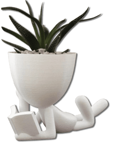 Pots de fleurs originaux