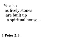 1 Peter 2:5 You should see