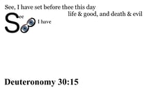 Deuteronomy 30:15 Say it slow