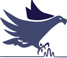 Falcon logo ( a falcon trying to catch a ripple instead of a mouse)