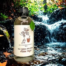 NƯỚC SÚC MIỆNG - CHÀ RĂNG VƯỜN TRẦU - VietHerb 100ml và 300ml