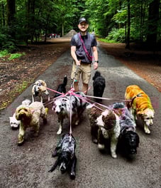 Dog Walking, Dog sitting, Dog Coaching Bruxelles