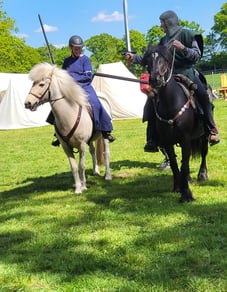 mounted combat