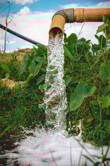 Water pipe emptying in a field