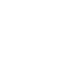 The Original Pork N Things BBQ logo
