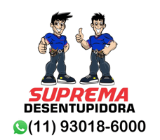 Desentupidora Zona Norte de São Paulo logo